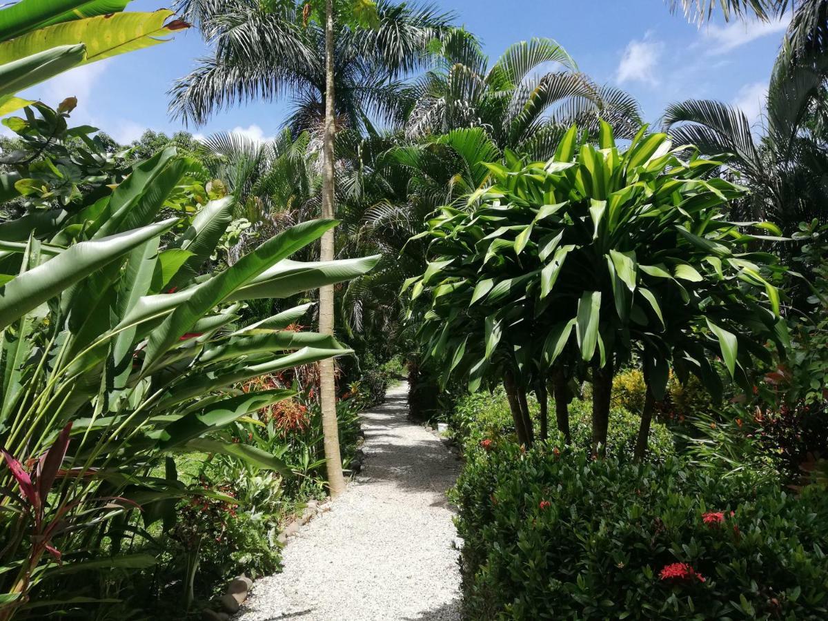 Mundo Goub'Art Bed & Breakfast Cabuya  Eksteriør bilde